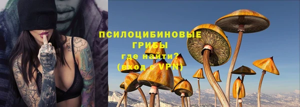 молекула духа Инсар