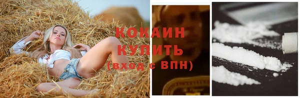 шишки Инта