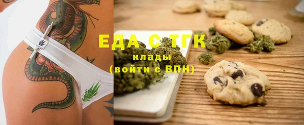 шишки Инта