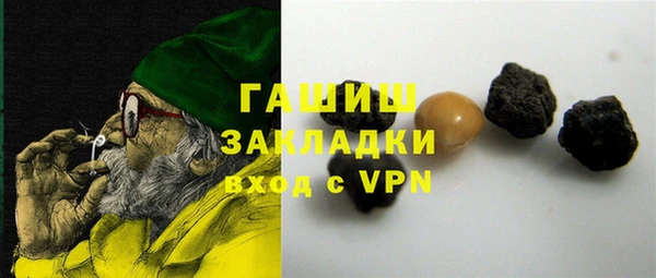 шишки Инта