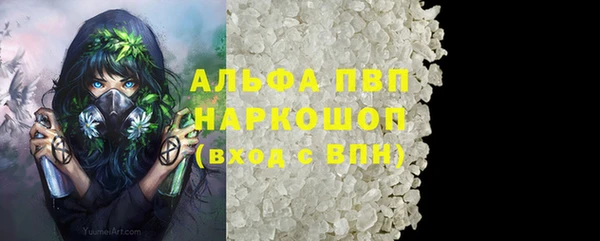 шишки Инта