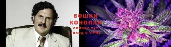 шишки Инта