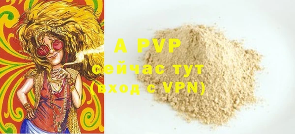 шишки Инта
