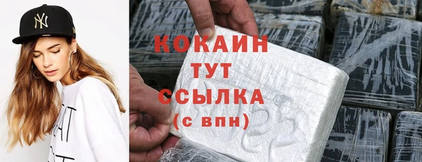 шишки Инта