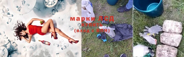 молекула духа Инсар