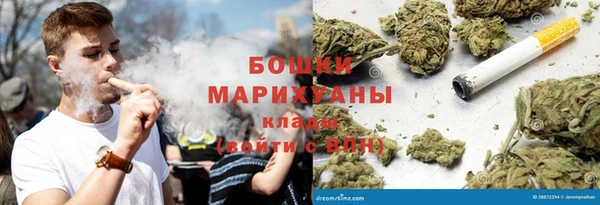 шишки Инта