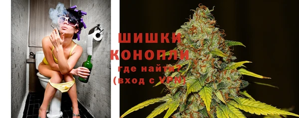 молекула духа Инсар