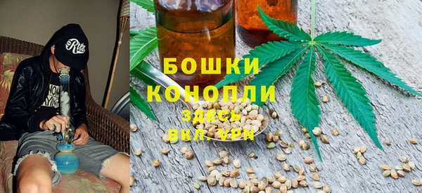 2c-b Иннополис