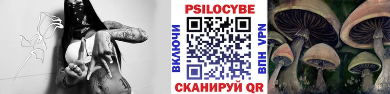 Галлюциногенные грибы Psilocybine cubensis  Кедровый 